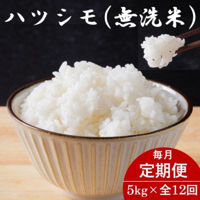 【毎月定期便】岐阜県産ハツシモ(無洗米) 5kg全12回【配送不可地域：離島】【4076380】
