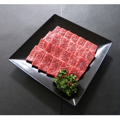 A5等級飛騨牛:赤身肉焼き肉用約1kg　モモ又はカタ肉【配送不可地域：離島】【1539413】