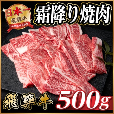 飛騨牛 霜降り焼肉 約500g 黒毛和牛 BBQ用【配送不可地域：離島】【1733135】