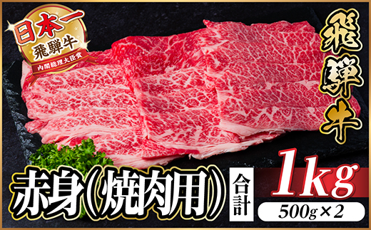 飛騨牛 厳選赤身(焼肉・BBQ用) 1kg(500g×2) 　黒毛和牛 小分け A4〜A5等級【配送不可地域：離島】【1543758】