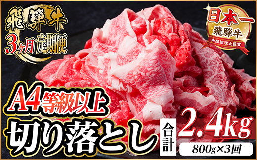 【毎月定期便】飛騨牛 厳選切り落とし 計2.4kg全3回　小分け【配送不可地域：離島】【4055980】