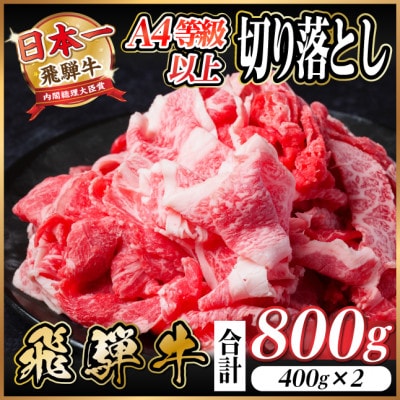 飛騨牛 厳選切り落とし 800g(400g×2)　A4〜A5等級　黒毛和牛　小分け【配送不可地域：離島】【1484849】
