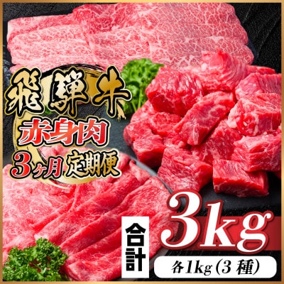 【毎月定期便】飛騨牛 赤身肉定期便 計3kg全3回【配送不可地域：離島】【4059529】