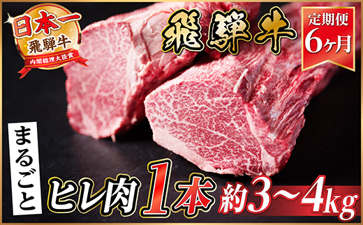 【毎月定期便】飛騨牛 ヒレ1本(約3〜4kg)【シャトーブリアン&ヒレ】冷蔵便 ステーキ全6回【配送不可地域：離島】【4084144】