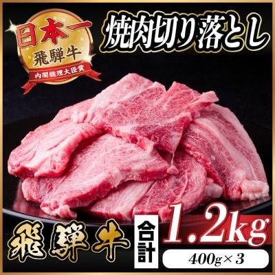 飛騨牛 焼肉 切り落とし 約1.2kg(約400g×3)訳あり【冷蔵便】【配送不可地域：離島】【1543587】