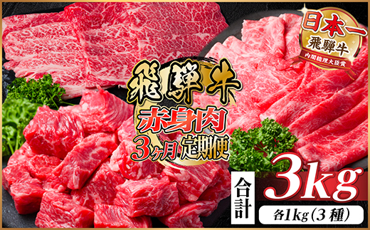 【毎月定期便】飛騨牛 赤身肉定期便 計3kg全3回【配送不可地域：離島】【4059529】