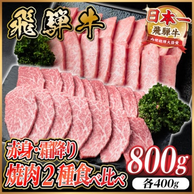 飛騨牛　赤身・霜降り焼肉2種食べ比べセット(ヒレ・三角バラカルビ)　計800g(各400g)タレ付き【配送不可地域：離島】【1745788】