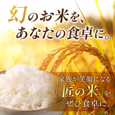 【先行受付】令和8年産　岐阜県産ハツシモ(無洗米)5kg【1757853】