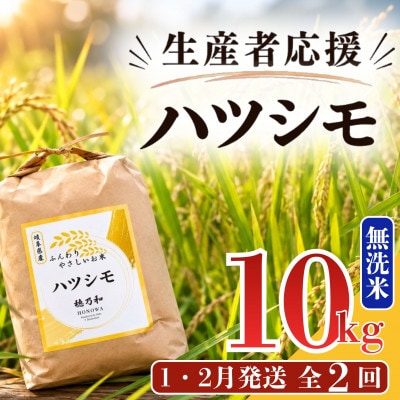 【発送月固定定期便】【先行予約】生産者応援!岐阜県産ハツシモ(無洗米)10kg【1・2月】全2回【配送不可地域：離島】【4089360】