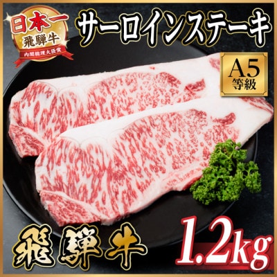 飛騨牛A5等級　サーロインステーキ　1.2kg　黒毛和牛(ステーキ・焼肉・BBQ用)【配送不可地域：離島】【1754703】