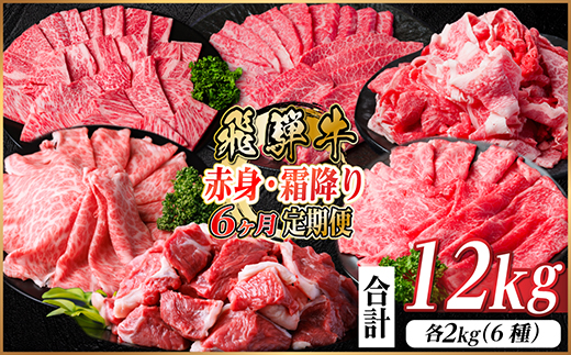 【毎月定期便】飛騨牛　赤身・霜降り定期便　計12kg カルビ・ロース(焼肉・BBQ用) すね肉全6回【配送不可地域：離島】【4075091】