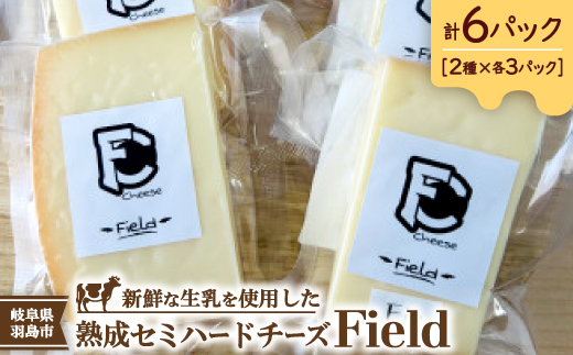 セミハードチーズ　Field　2種セット【配送不可地域：離島】【1692094】