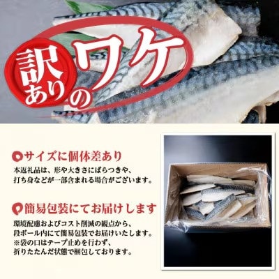 縲占ィウ縺ゅj縲代ヮ繝ォ繧ヲ繧ァ繝シ逕」縲蝪ゥ縺輔ー縲繝輔ぅ繝ャ縲邏3kg縲宣埼∽ク榊庄蝨ー蝓滂シ夐屬蟲カ縲代1700382縲