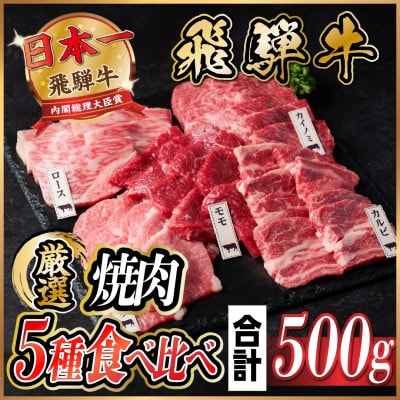 飛騨牛 焼肉厳選5種食べ比べセット(カルビ・トモサンカク・モモ・ロース・カイノミ)約500gタレ付き【配送不可地域：離島】【1532665】