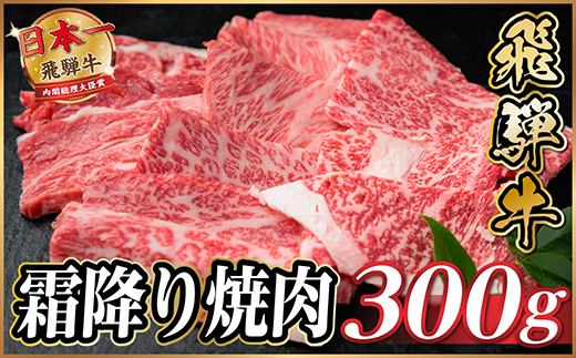 飛騨牛 霜降り焼肉 約300g BBQ用(上カルビ、肩ロース、カイノミ、ザブトン、ミスジなど)訳あり【配送不可地域：離島】【1733113】