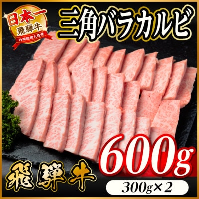 飛騨牛 三角バラカルビ焼肉 600g(300g×2)タレ付き BBQ用 小分け【配送不可地域：離島】【1746326】