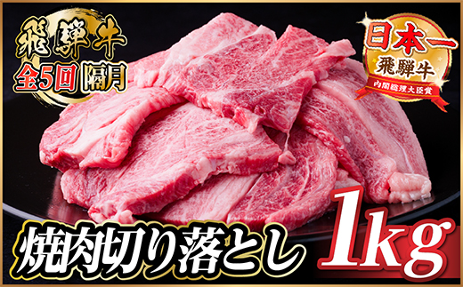 【2ヵ月毎定期便】飛騨牛 焼肉切り落とし 約1kg(約500g×2)タレ付き 訳あり全5回【配送不可地域：離島】【4084215】