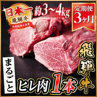 【毎月定期便】飛騨牛 ヒレ1本(約3〜4kg)【シャトーブリアン&ヒレ】冷蔵便 ステーキ全3回【配送不可地域：離島】【4084143】