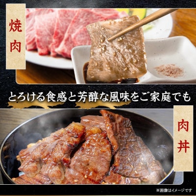 飛騨牛 カルビ・赤身(焼肉・BBQセット)500g 小分け 黒毛和牛 A4〜A5等級【配送不可地域：離島】【1543761】