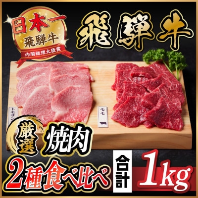 飛騨牛　トモサンカク・モモ焼肉　約1kg(各約500g×2P)【配送不可地域：離島】【1531167】