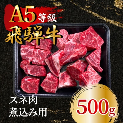 飛騨牛5等級 スネ肉煮込み用500g　FTA281【配送不可地域：離島】【1578292】