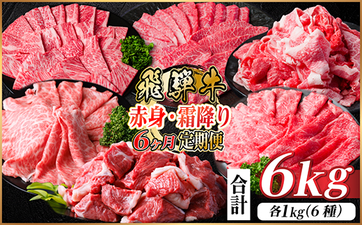【毎月定期便】飛騨牛　赤身・霜降り定期便　計6kg カルビ・ロース(焼肉・BBQ用) すね肉全6回【配送不可地域：離島】【4075090】