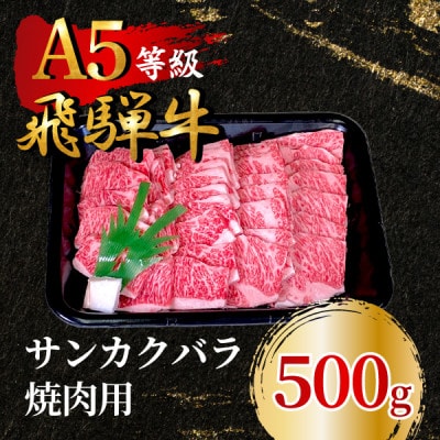 飛騨牛5等級 サンカクバラ焼肉用500g　FTA284【配送不可地域：離島】【1578300】