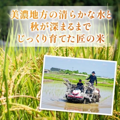 令和7年産　岐阜県産ハツシモ(精米)5kg  国産 米【配送不可地域：離島】【1540832】