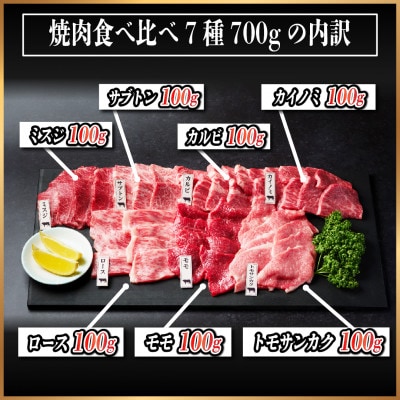 飛騨牛　焼肉7種食べ比べ(カルビ・トモサンカク・モモ・ロース・カイノミ・ミスジ・ザブトン)約700g【配送不可地域：離島】【1532679】