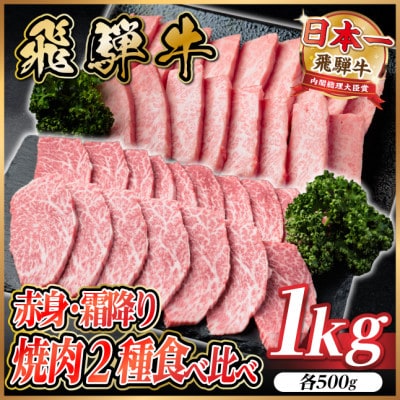 飛騨牛　赤身・霜降り焼肉2種食べ比べセット(ヒレ・三角バラカルビ)　計1kg(各500g)タレ付き【配送不可地域：離島】【1745795】