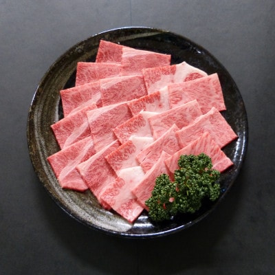 A5等級飛騨牛:焼肉用600g　ロース又は肩ロース肉【配送不可地域：離島】【1539448】