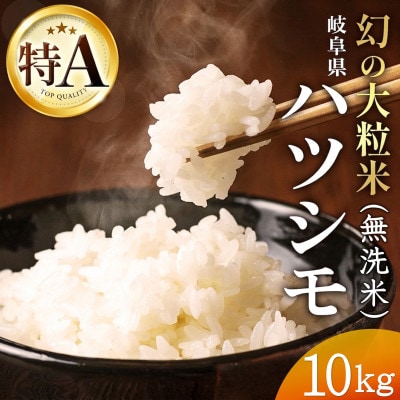 令和7年産　岐阜県産ハツシモ(無洗米)10kg　国産 米【配送不可地域：離島】【1540853】