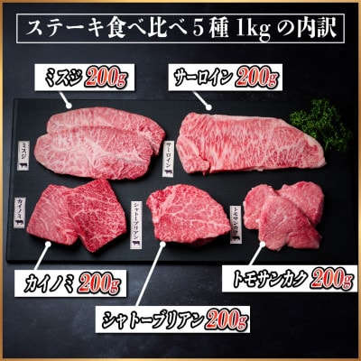 飛騨牛　ステーキ5種食べ比べセット　計1kg【配送不可地域：離島】【1530558】