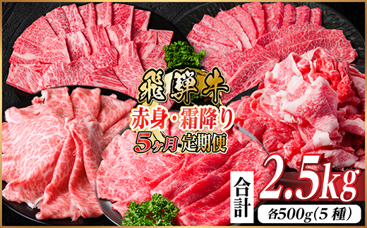 【毎月定期便】飛騨牛　赤身・霜降り定期便　計2.5kg カルビ・赤身・ロース(焼肉・BBQ用)全5回【配送不可地域：離島】【4075138】