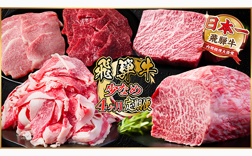 【毎月定期便】飛騨牛 少なめ定期便 計1.3kg 全4回 ステーキ 焼肉 切り落とし 赤身ブロック肉【配送不可地域：離島】【4055499】