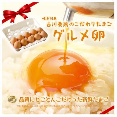 吉川養鶏のグルメ卵Lサイズ80個(割れ保証16個含む)羽島観光協会推奨【はしまブランド】認定品　冷蔵【配送不可地域：離島】【1720139】