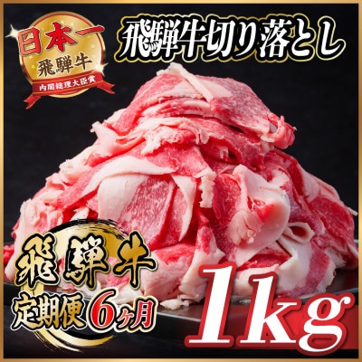 【毎月定期便】飛騨牛　切り落とし　約1kg【冷蔵便】全6回【配送不可地域：離島】【4055087】