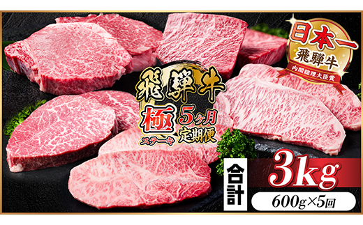 【毎月定期便】飛騨牛 極ステーキ定期便　計約3kg【冷蔵便】全5回　A4〜A5等級　黒毛和牛【配送不可地域：離島】【4056916】