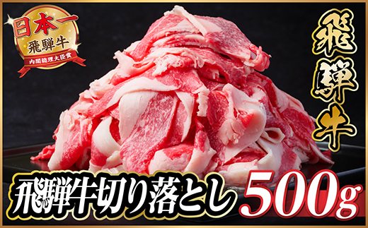 飛騨牛　切り落とし　約500g【冷蔵便】A4〜A5等級 黒毛和牛 小分け【配送不可地域：離島】【1531510】