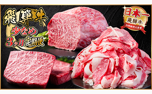 【毎月定期便】飛騨牛 少なめ定期便 計1kg【冷蔵便】全3回 赤身ステーキ 切り落とし 赤身ブロック【配送不可地域：離島】【4055497】