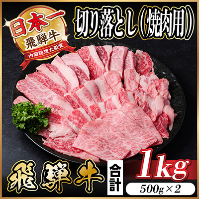 飛騨牛　訳あり　切り落とし焼肉1kg【配送不可地域：離島】【1487351】