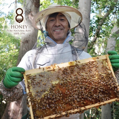 譌ゥ譏・縺ョ蛻晄誓繧(縺ッ縺。縺ソ縺、)300gテ2譛ャ縲1419493縲