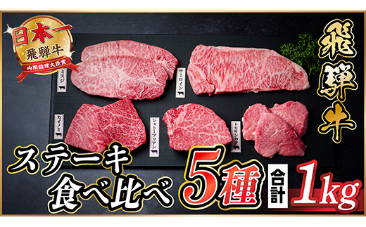 飛騨牛　ステーキ5種食べ比べセット　計1kg【配送不可地域：離島】【1530558】