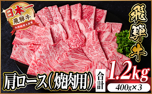 飛騨牛　厳選肩ロース(焼肉・BBQ用) 計1.2kg(400g×3)　黒毛和牛　小分け【配送不可地域：離島】【1674166】