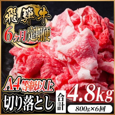【毎月定期便】飛騨牛 厳選切り落とし 計4.8kg全6回　小分け【配送不可地域：離島】【4055981】