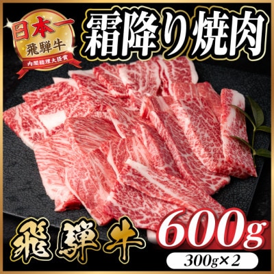 飛騨牛 霜降り焼肉 約600g(約300g×2)BBQ用 小分け【配送不可地域：離島】【1733136】