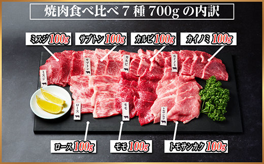 飛騨牛　焼肉7種食べ比べ(カルビ・トモサンカク・モモ・ロース・カイノミ・ミスジ・ザブトン)約700g【配送不可地域：離島】【1532679】