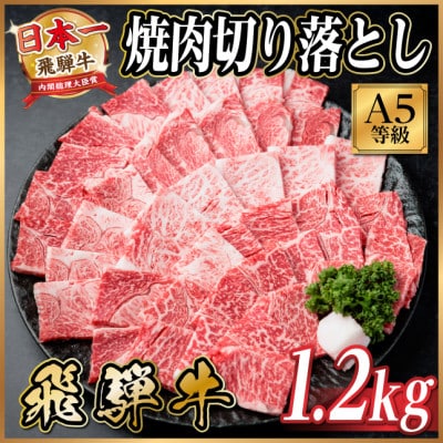 飛騨牛A4~A5等級　焼肉切り落とし　1.2kg　黒毛和牛(焼肉・BBQ用)【配送不可地域：離島】【1754692】