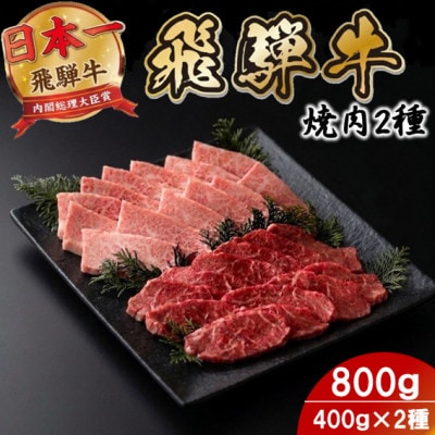 プチ贅沢!飛騨牛焼肉2種セット4人前 800g 赤身・霜降り(モモ・カタ/バラカルビ)【配送不可地域：離島】【1753980】