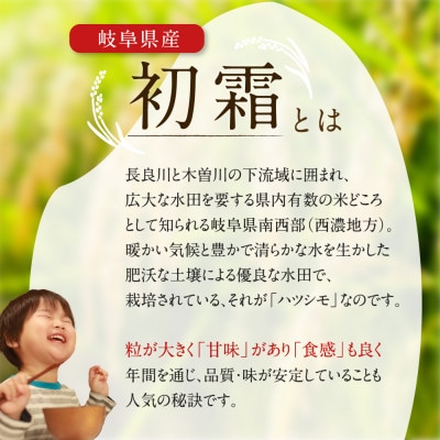 【精米済】新米　岐阜県産ハツシモ　30kg　令和6年産【配送不可地域：離島】【1530902】